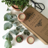 Handmade Terracotta Beeswax Tea Light Candles - Bivokslys