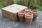 Handmade Terracotta candles - Vishal Box of 4 - Bivokslys