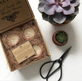 Handmade Terracotta Candles - Murgan Box of 4 - Bivokslys